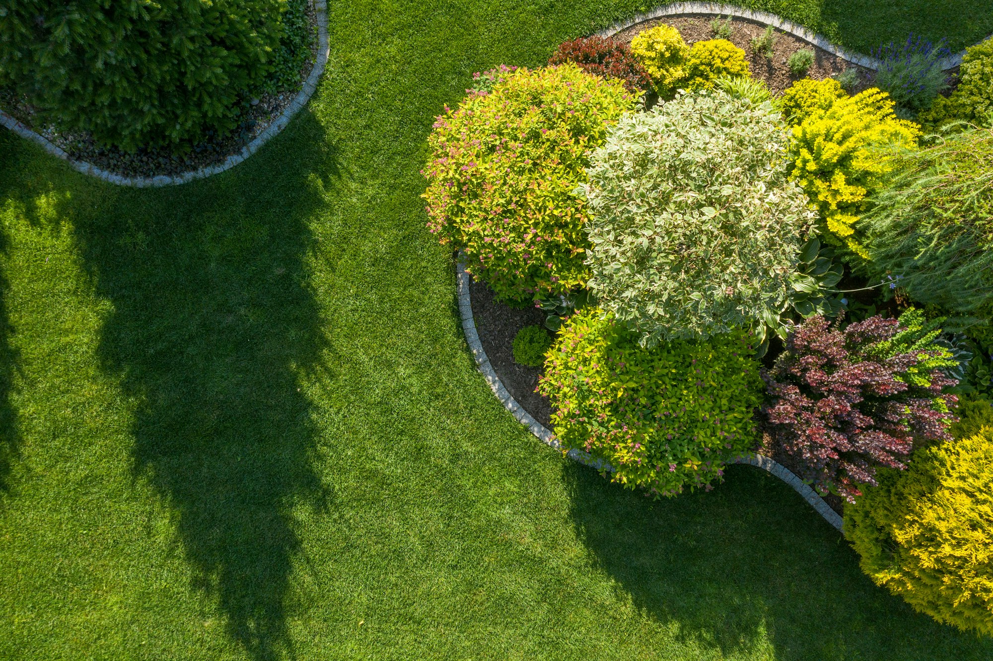 Residential Backyard Garden Aerial Vista